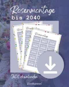 Rosenmontage Termine